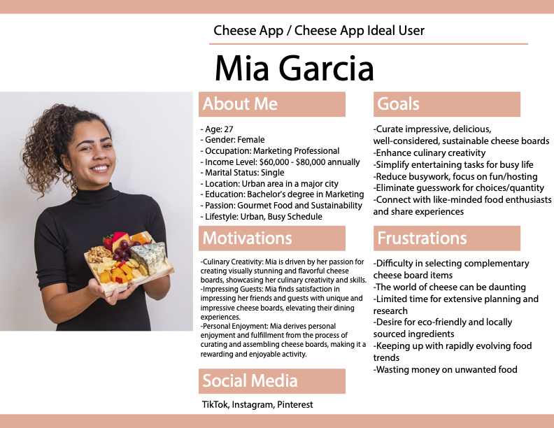 User Persona